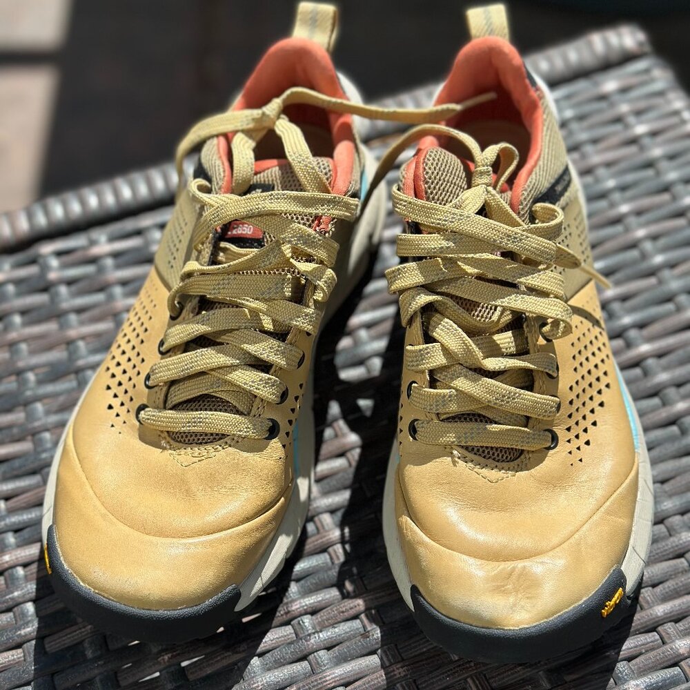 Danner  Leather hiking /outdoor shoes